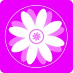 gallery - photo & video editor android application logo